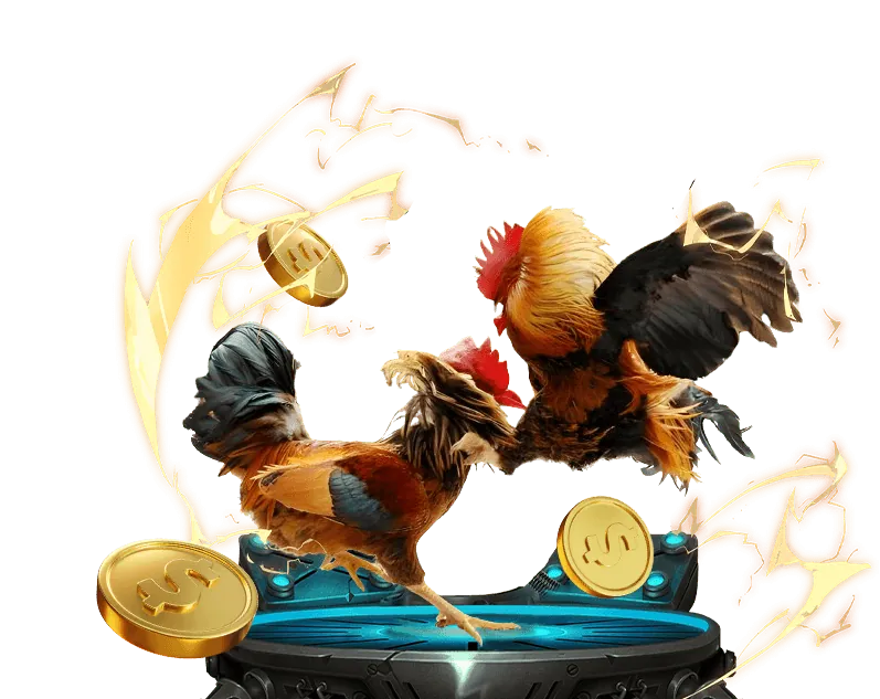 Ưu đãi hoàn trả hàng ngày/tuần KM666